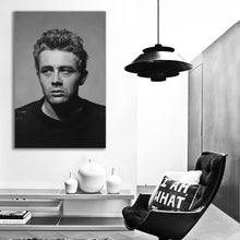 Load image into Gallery viewer, #048 James Dean
