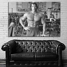 Load image into Gallery viewer, #034 Arnold Schwarzenegger
