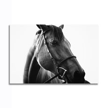 Load image into Gallery viewer, #009BW Horse
