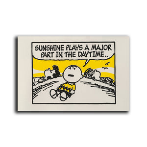 #009 Peanuts Gang Charlie Brown Snoopy