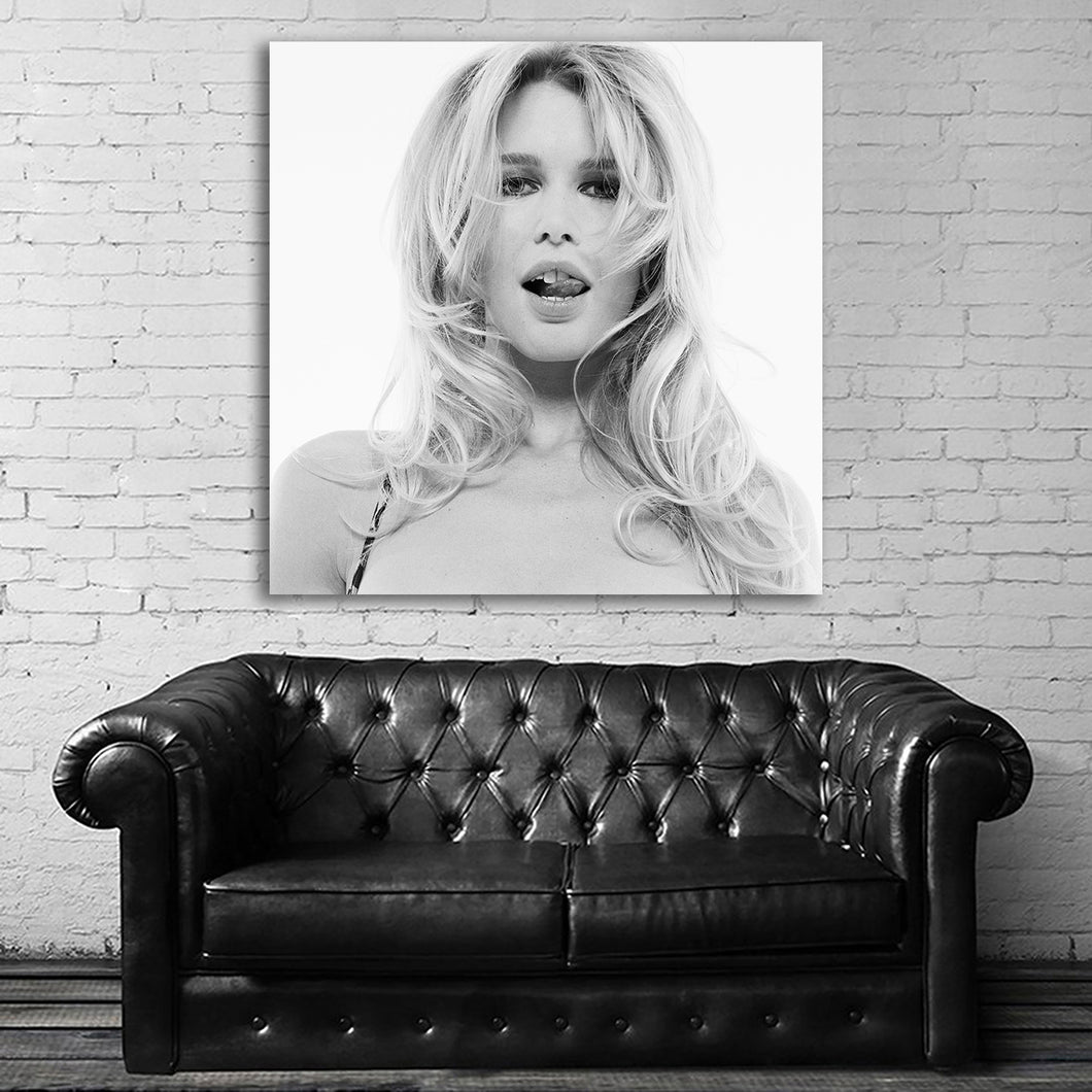 #503BW Claudia Schiffer