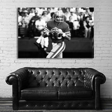 Load image into Gallery viewer, #003BW 49ers
