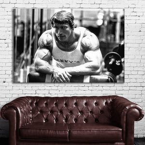 #027 Arnold Schwarzenegger