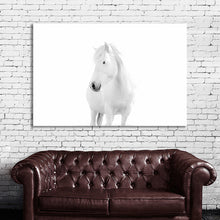 Load image into Gallery viewer, #020BW Horse
