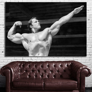 #015 Arnold Schwarzenegger