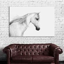 Load image into Gallery viewer, #028BW Horse
