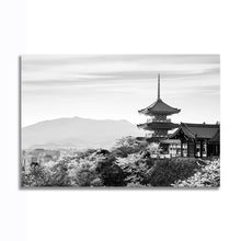Load image into Gallery viewer, #025BW Japan
