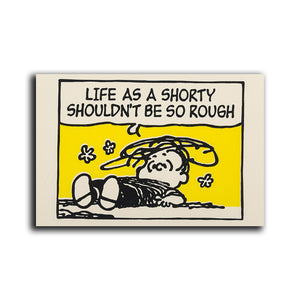 #002 Peanuts Gang Charlie Brown Snoopy