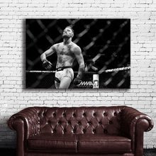 Load image into Gallery viewer, #011BW Conor McGregor
